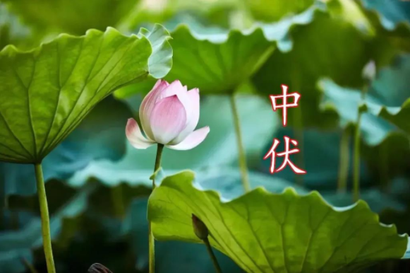 微信图片_20250730102720.png